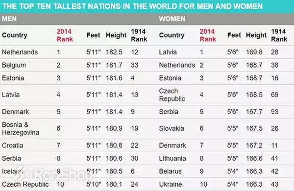 成年男性平均身高都在180cm以上,最高的荷兰达到182.5cm.