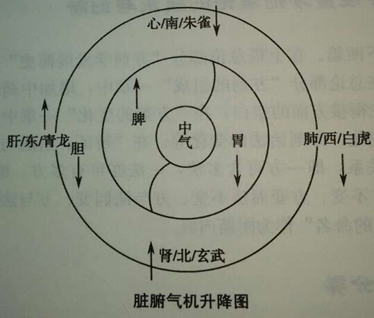 【真传一刻】第14期:胡浩-圆运动的中医方药学