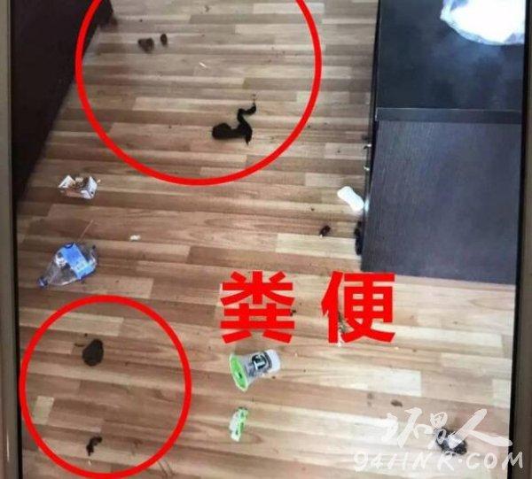 18岁少女出租屋令人作呕 人屎,死狗,卫生巾遍地