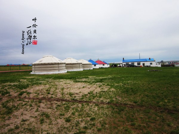 【满洲里】包车一日草原行,看蒙古包,食蒙古餐