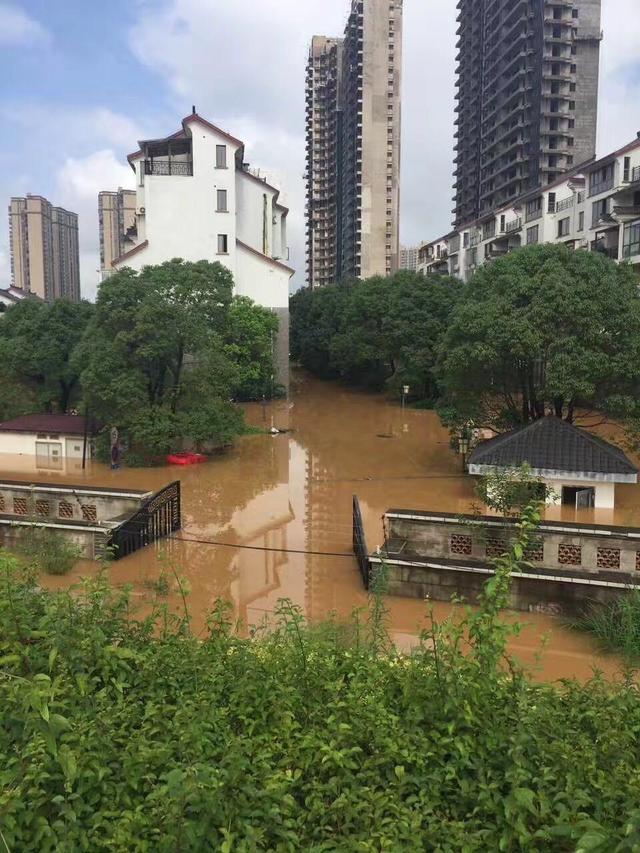 【组图】长沙一别墅小区变泽国 地势低房子遭洪水"没顶"