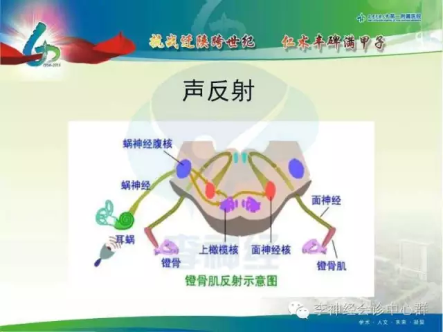 面神经核→面神经→镫骨肌→中耳 鼓室图分型: a型:表示中耳功能正常