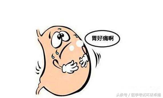 文章内容 胃痛适合吃的食物 正在胃疼时适合吃什么菜问:正在