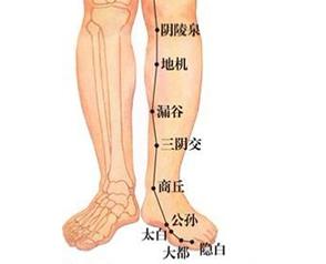 瘦大腿瘦小腿只需灸通胆经脾经就行