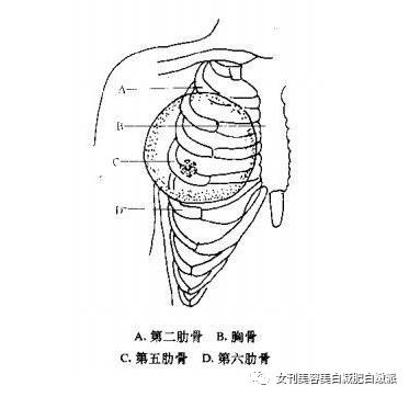 胸廓人口处_人口普查(2)