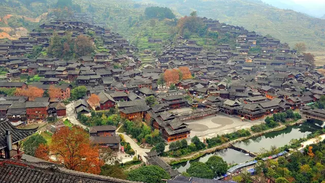 天柱县有多少人口_血藤花开满村香 天柱县致富带头人杨海良带民脱贫记(3)