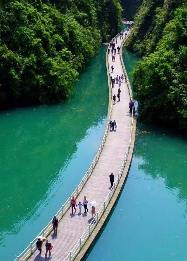 走在这条木制的板桥上,犹如凌波微步于山水之间,青山绿水,悠悠荡荡