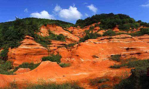 大横山风景,国家级自然生态林