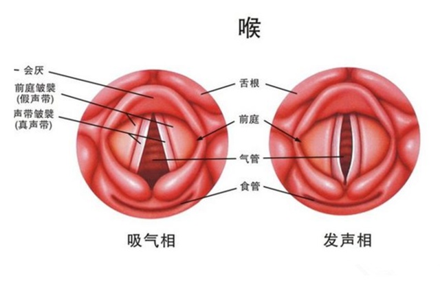 有慢性咽炎,突然间舌头根部疼,不能说话