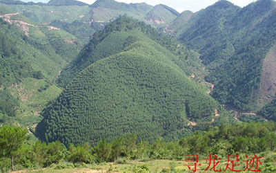 在农村,天地广阔,山清水秀,但理想的风水宝地并非处处皆是,缺陷则