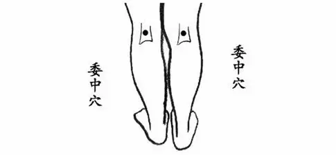 其它 正文 委中穴位于腿窝的中心点上,走的是膀胱经.
