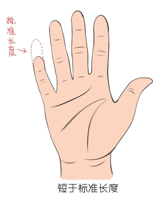 手相风水:看这两根手指就能知道这么多?