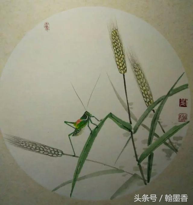 最美草虫作品欣赏!小心蝈蝈蹦出来!