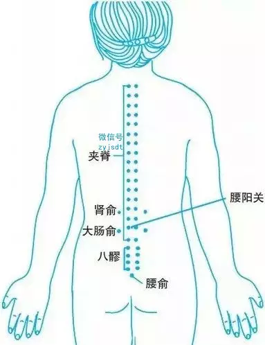 点按患者腰部和骶部的夹脊穴,肾俞穴,大肠俞穴,腰阳关穴,八髎穴