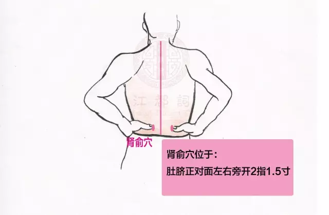 调理肩颈腰腿疼痛,这几个部位要注意了(上)