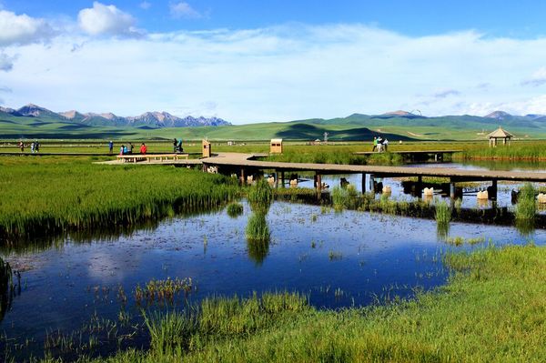 若尔盖大草原 花湖 九曲黄河 红原月亮湾