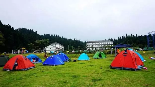 玉屏山上是一片整齐雅洁的人造森林,茫茫林海,郁郁葱葱,走在山间一条