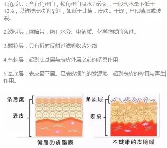 皮肤补水越补越干真相原来在这里