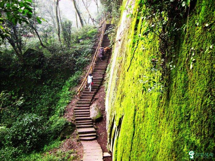 成都邛崃天台山景区景点介绍攻略_搜狐旅游_搜狐网