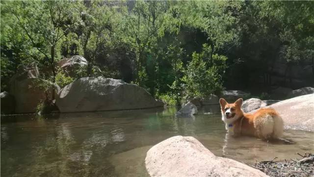 已安奈不住了吧浅滩里,我们快去玩水吧!