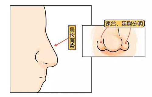 成语养人鼻什么_人在剑上走是什么成语(3)