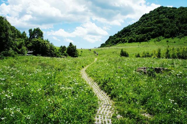 最美高山花海,北京市第三高峰,花期已到急急如令