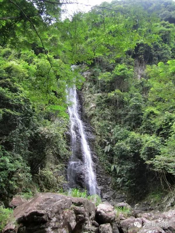 宁德独具特色飞鸾岭峡谷