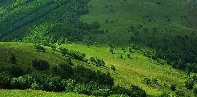 3条夏日最美自驾线路,去过2条就邂逅中国一半的美