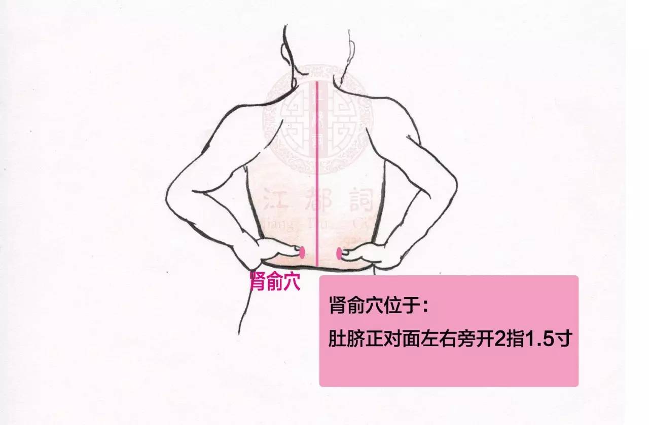 16.督俞(BL16)-中医学-医学