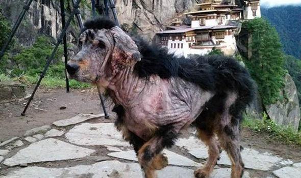 解密真实的不丹——一个被文青欺骗的旅游"圣地"