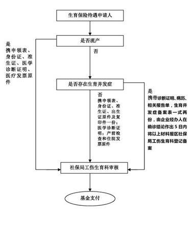 北京外来人口生育服务单_北京生育服务单图片(3)