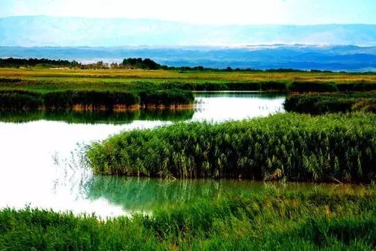 新疆艾比湖湿地国家级自然保护区