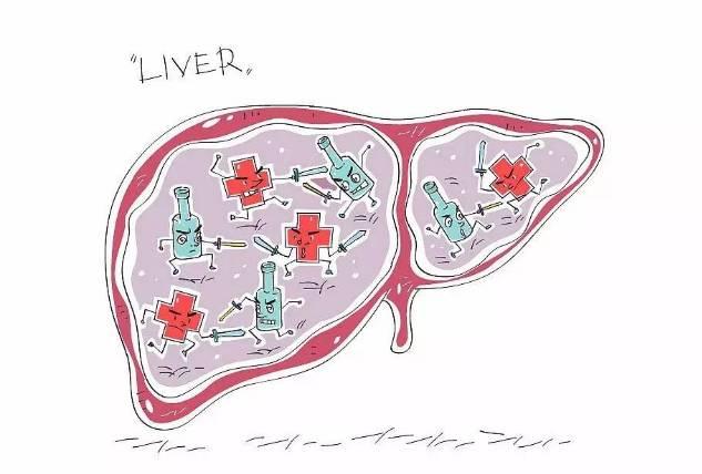 5个信号一出现，说明肝脏受损，护肝有5个关键点!