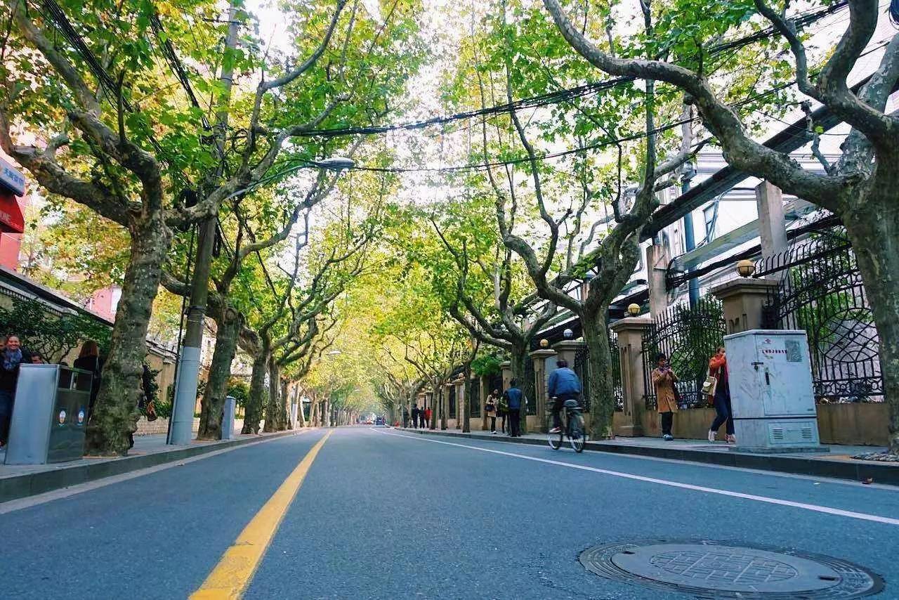 (衡山路-陕西南路) 东平路 (乌鲁木齐南路-岳阳路) 长乐路 (常熟路