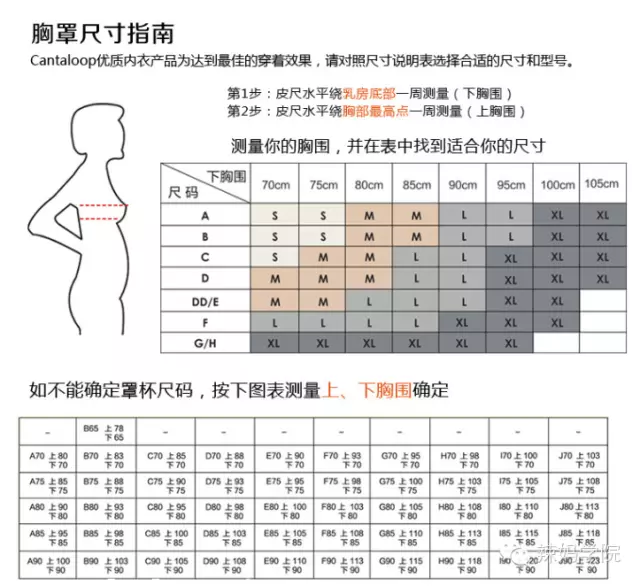 内衣尺寸图_内衣尺寸对照表