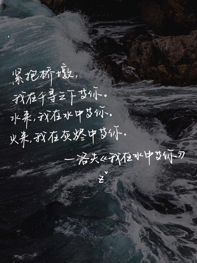 愿情话终有主,你我不孤独