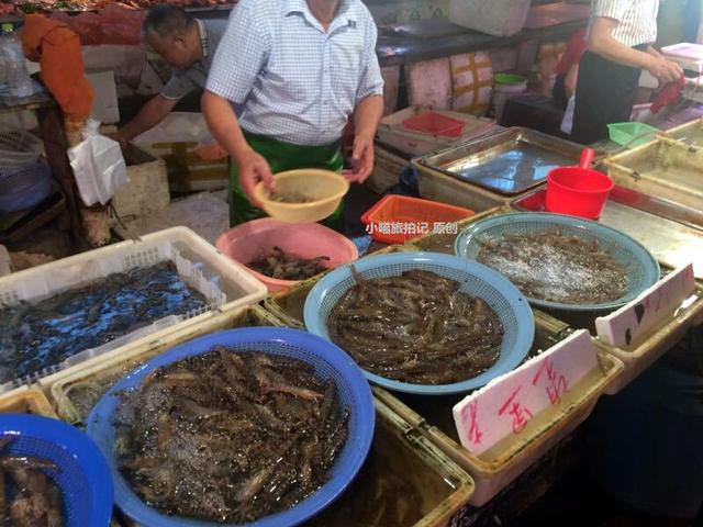【组图】实拍:浙江温州农村的菜市场,满满的海鲜
