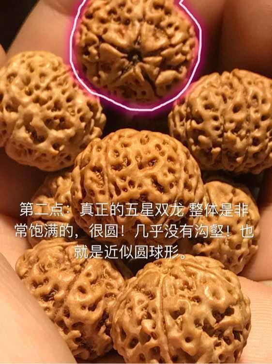 什么是蜂窝双龙蜂窝双龙怎么鉴别