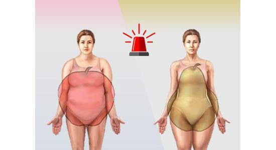 苹果型身材的人腹部更容易囤积脂肪.