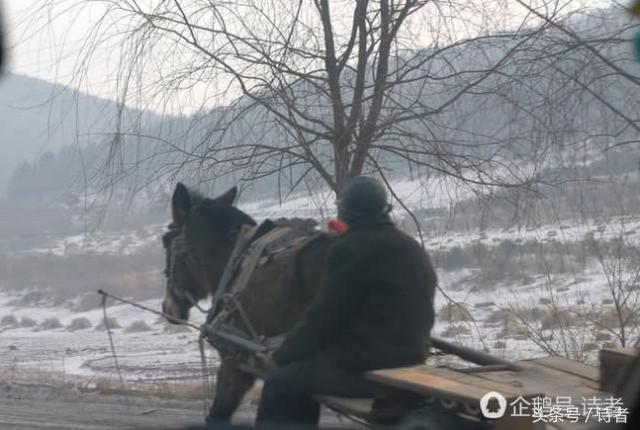 在那个伸手不见五指的漆黑之夜赶着毛驴车去看电影