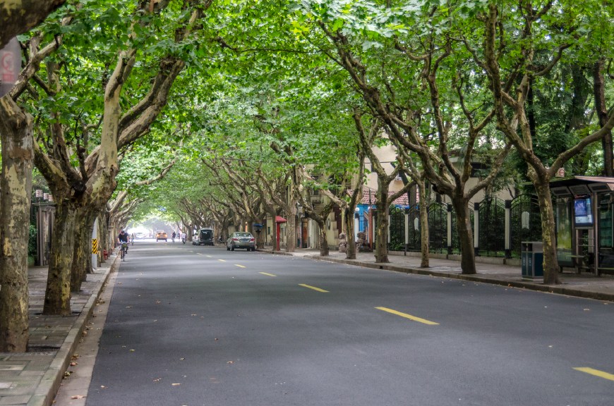 【组图】上海最美的路原是租界区,汪精卫改了路名沿用