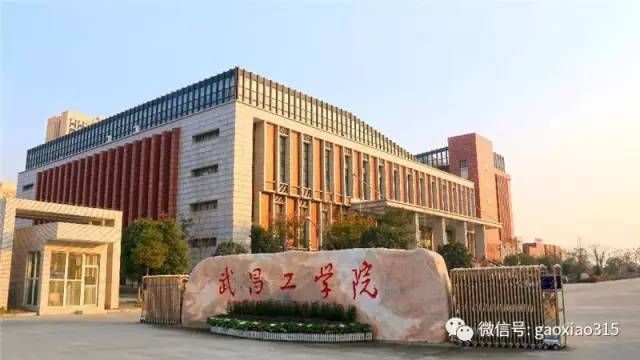 是独立学院——武汉科技大学中南分校,于2011年改名为武昌理工学院