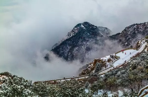 什么人同心的成语_同心协力成语图片