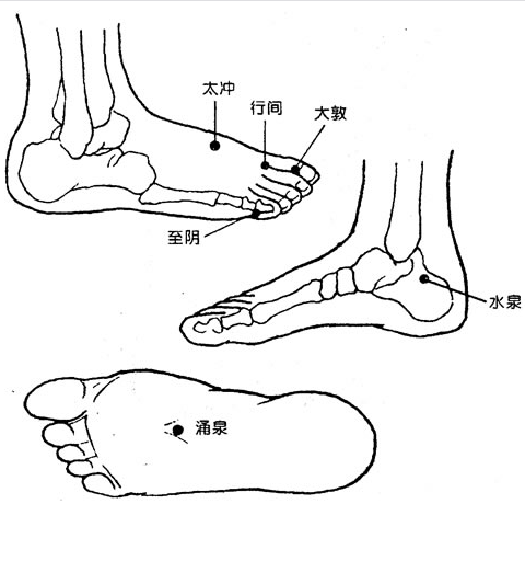 其他部位有的各种穴位及脏器反射区,每日早晚要搓揉双脚上的前列腺