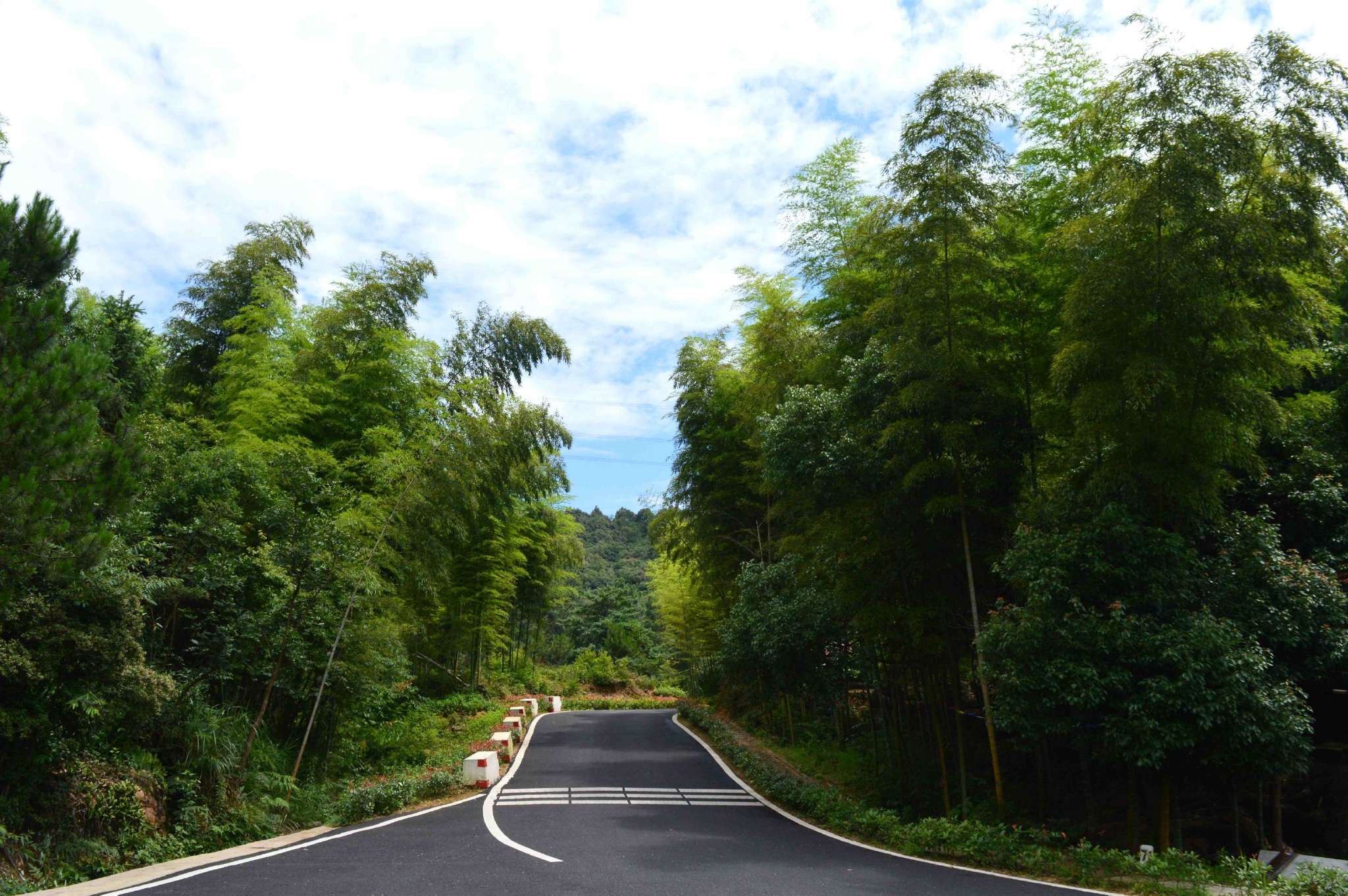 我到达了杭州市余杭区径山镇径山村,住在波罗蜜民宿, 一家充满了禅意