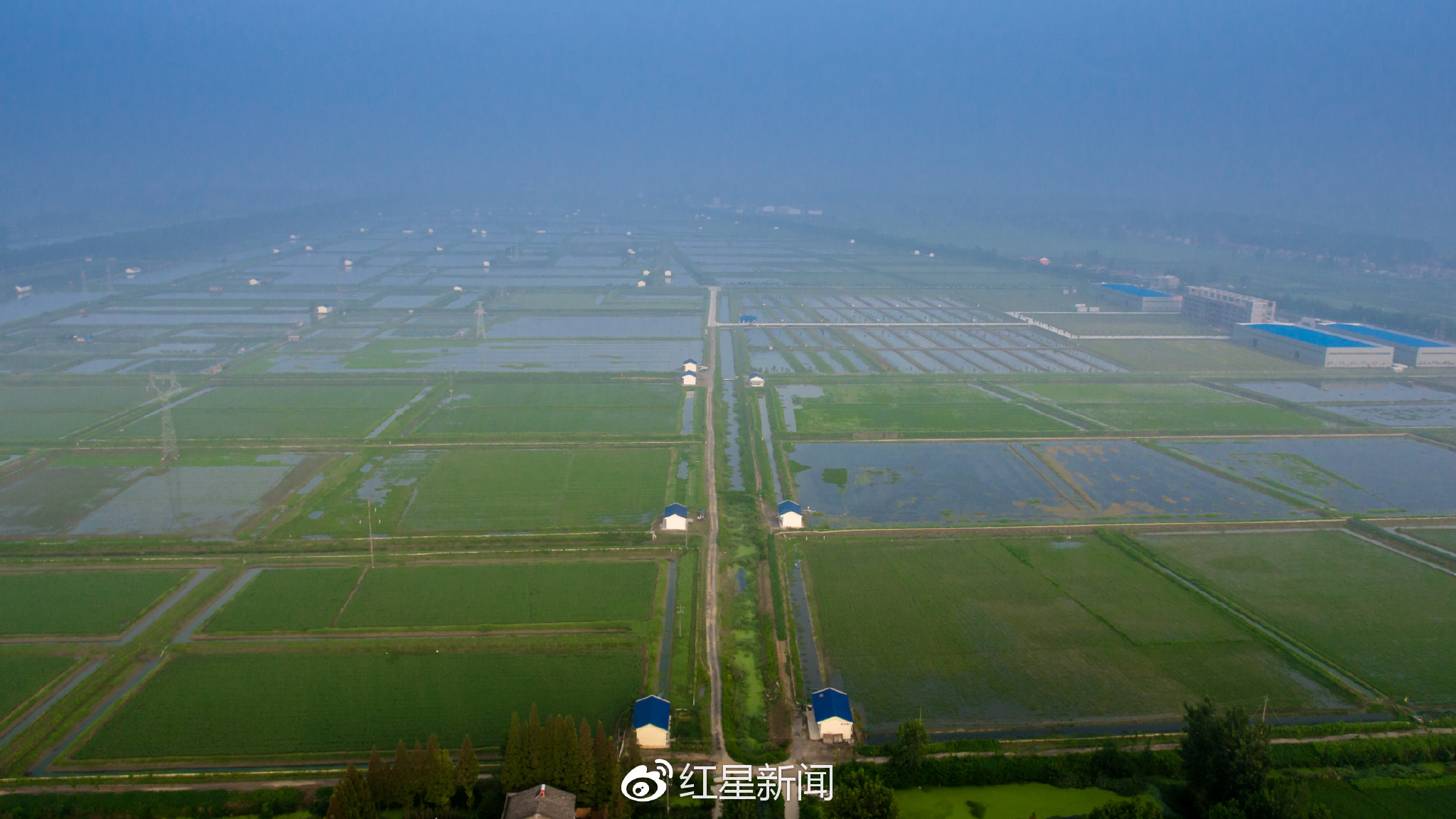 潜江龙虾学院虾稻连作养殖示范实习基地(受访者供图 红星新闻实习