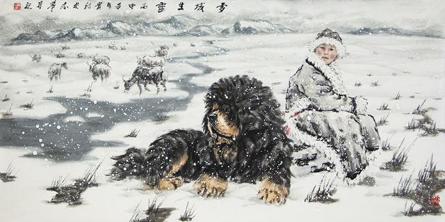 风雪中的藏獒,相信你会喜欢的