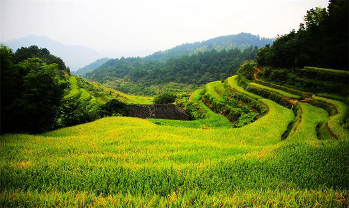 岳阳平江福寿山森林公园