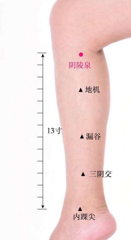 绘灸人口的意思_喝水都胖的人如何用艾灸调理 艾艾贴泽红总代教你使用方法(2)