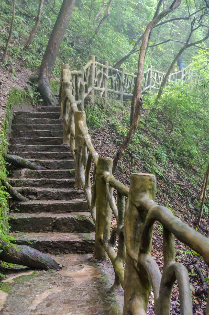 沿着台阶上山下山,山上并未经过大规模开发,保持着原生态的样貌,不时